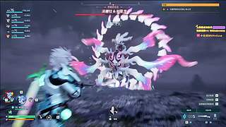 【小白鸽】崔崔来啦！