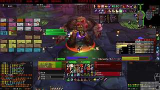 魔兽世界怀旧服 哈霍兰40人NAXX