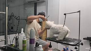 努力沉淀中&hellip;