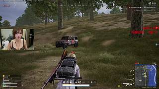 大菠萝PUBG版