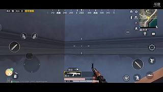 菜鸟的直播间，吃鸡中的笨蛋啊啊啊！