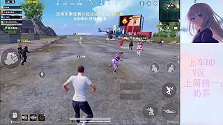 免费带粉，上车DD