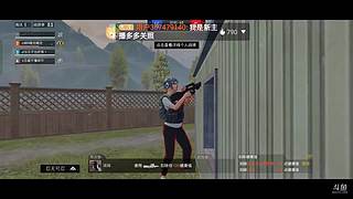 和平精英枪小白
