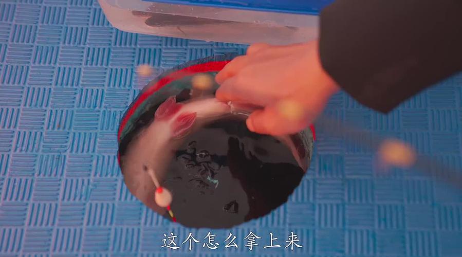 你的海南军阀给你带来最地道的赶海