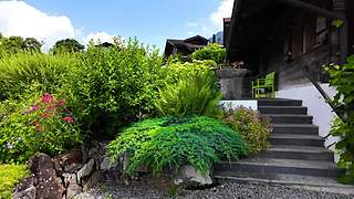 4837387小沫带您沉浸式游玩美景