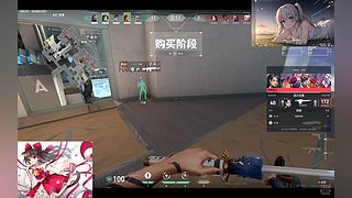 瓦洛兰特启动 11943354