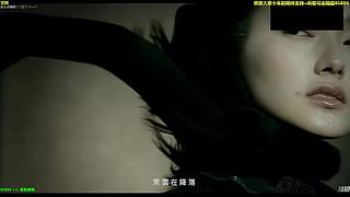【神乐】祝愿大家前路繁花似锦~所愿皆可得