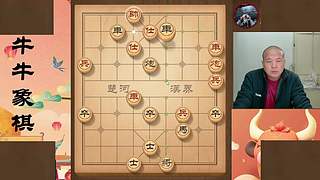 牛牛象棋直播间