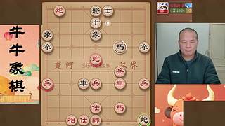 牛牛象棋直播间