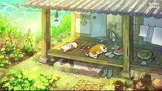 半盏茶烟惹流年的直播间