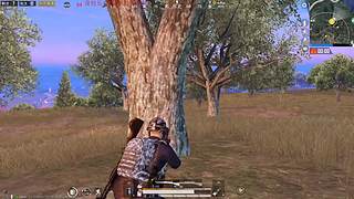 XBOX独立端吃鸡