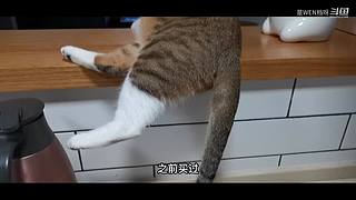 回归玩家随便逛逛
