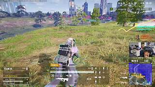 训练赛gogogo