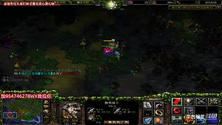 魔兽达尔文进化岛直播间