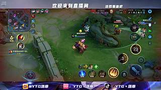 夏季赛深圳DYGvsWST