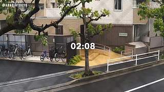 重生之奋发涂墙