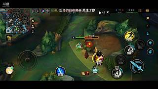 英雄联盟手游 4642310
