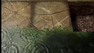 失眠症福音~~~~~~~~~~~