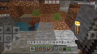 小贤菌惊变100天生存