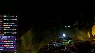 hzp加油努力
