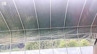 成都 混血 空姐