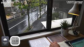 重生之奋发涂墙