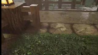 失眠症福音~~~~~~~~~~~