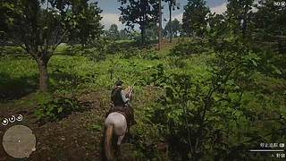四少的直播间 6879209