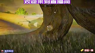 怀揣江湖志向常被琐事牵绊