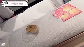 你是我朝夕相伴触手可及的虚拟