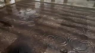 失眠症福音~~~~~~~~~~~