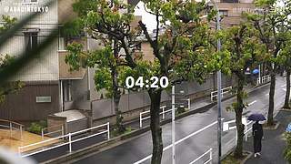 重生之奋发涂墙
