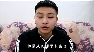 里面全是小猫咪