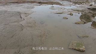 渔妹带你来赶海，来看有没有你没见过的