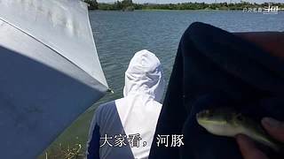 不做大师，只做中国好钓友