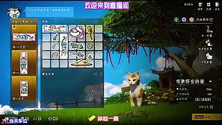 全段位通用基础打法，新手老手都能直接借鉴
