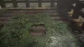 失眠症福音~~~~~~~~~~~