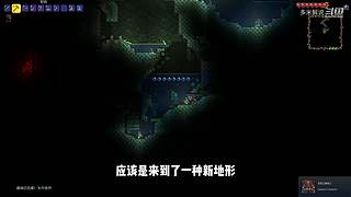 充满沙雕气息的直播间