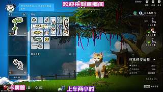 穿行雨巷偶遇身怀暗器巧匠