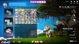 全段位通用基础打法，新手老手都能直接借鉴