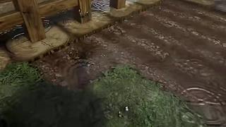 失眠症福音~~~~~~~~~~~