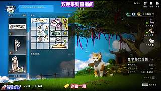 全段位通用基础打法，新手老手都能直接借鉴