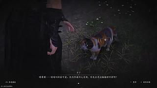 猪彬彬gbb的直播间