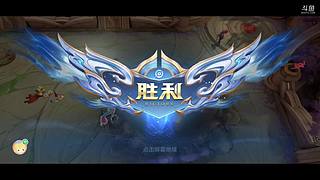 桂圆上王者