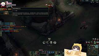 猫猫大王降临！