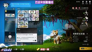 全段位通用基础打法，新手老手都能直接借鉴