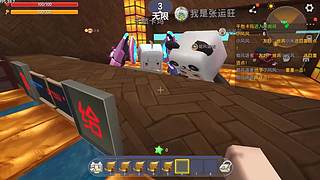小风风来啦