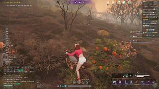 开心游戏欢迎加入