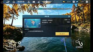 用户1219778252的直播间