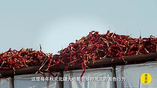 美食台：美国鸡肉名菜左宗棠鸡